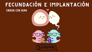 FECUNDACIÓN E IMPLANTACIÓN DEL EMBRIÓN HUMANO [upl. by Apur754]