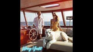 Wrong Yacht  Sublime  Yacht Rock Ai Parody [upl. by Niveb]