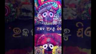 Jagannath ⭕️❗️⭕️🙏🏻  shreejagannathdarshan jagannath puri kalia purijagannathtemple youtube [upl. by Baiss]