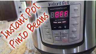 Instant Pot Pinto Beans [upl. by Rodge]