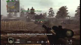 Call of Duty 5  PTRS 41 vs Tank [upl. by Trilbi]