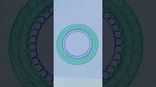 Snack video Easy Spirograph Design Satisfying Video 300 Snackvideo ytshorts spirograph artwork [upl. by Netnilc]