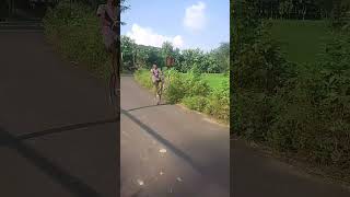 cycle stunt wheelie viralvideo viralshorts trending rider [upl. by Jerz520]