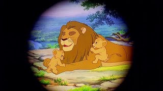 SIMBA THE KING LION  The Lion King  Full Length Episode 1  English KIDFLIX [upl. by Jaymee]