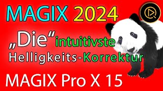 MAGIX Video Pro X 15 Die intuitivste Helligkeitskorrektur Gradationskurve [upl. by Ahsiet]