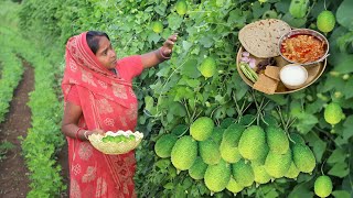 Kantola Ki Sabji  Village Lunch Cooking  Village Life In Gujarat India [upl. by Holli]