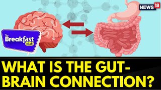 World Nutrition Week What Is The GutBrain Connection  Healthy Bites  The Breakfast Club [upl. by Hilten277]