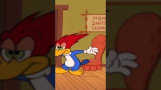 Woody has an uninvited guest in his house  Woody Woodpecker shorts [upl. by Nehte]