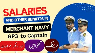 Merchant Navy Salaries EXPOSED Shocking Truth About Benefits [upl. by Yeffej763]