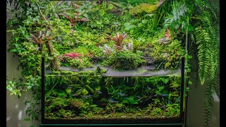 Обзор на Палюдариум 4K Aquascape Paludariumaquascape paludarium 4k [upl. by Yeclek970]