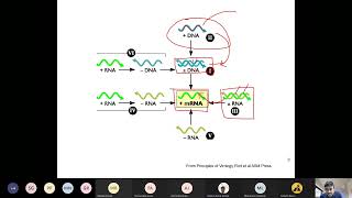 Lecture6b SBL704 Virology 19 01 2022 [upl. by Durwood700]