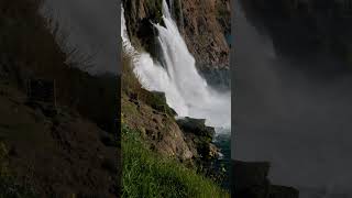 The Heartbeat of Nature Mesmerizing Waterfalls waterfall asmr naturelovers sleepsounds [upl. by Coffin]