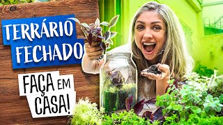 Como fazer um terrário em casa ClubedeCiênciasMM [upl. by Rriocard]