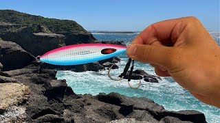 Rock Fishing Central Coast for a QUICK Feed [upl. by Marita]