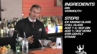 Classic Martini Cocktail Recipe [upl. by Shah647]