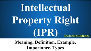 Intellectual Property Rights IPR Meaning Definition Examples Benefits of IPR UPSC NCERT Bba [upl. by Elad]