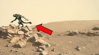 Mars perseverance rover latest images  rover best video footage  mars in 4k Sol 153 [upl. by Aihsenat]