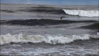 paddling out  bodyboarding on Lake Michigan [upl. by Aronel]