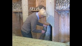 Scutching flax at a Flaxmill in Ireland  Making Irish Linen [upl. by Caras]