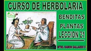 CURSO DE HERBOLARIA quotBENDITAS PLANTASquot LECCION 21💧 MI SALUD 745 💧 [upl. by Dronski]