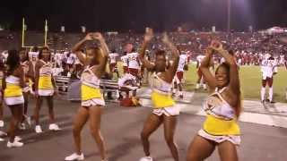 2014 Tuskegee Golden Tigers Cheerleaders [upl. by Eng898]