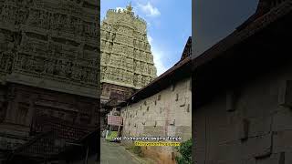 Sree Padmanabhaswamy Temple  Thiruvananthapuram kerala [upl. by Rolyab]