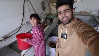 HOSTEL IN CHINA FOR PAKISTANI STUDENTS  FOOD MESS TOUR [upl. by Plank]