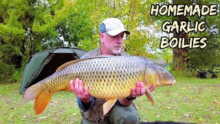 Carp Fishing With Homemade Garlic Boilies  My First Mirror Carp [upl. by Anipsed175]