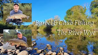 Fishing the River Wye Barbel amp Chub [upl. by Kind]