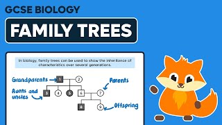 Family Trees  GCSE Biology [upl. by Arihppas192]