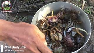 Two brothers catch crabs at field and cooking  Eating Delicious [upl. by Way]