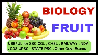 Fruit BiologyFOR SSC  CGL  MTS  CHSL  NDA  CDS  CSAT  Govt exams Etc [upl. by Casia816]