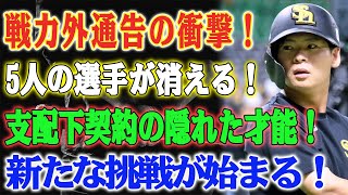 戦力外通告を受けた5人の選手、他球団での飛躍が期待される！支配下契約の価値を秘めた男たち [upl. by Geraldina]