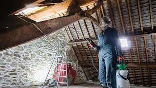 Attic Woodworm Treatment [upl. by Neumark]