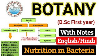 Nutrition in Bacteria  Nutritional requirements of Bacteria  BSC first year Botany  fist paper [upl. by Webster111]