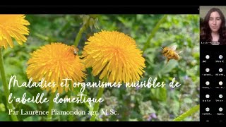 Maladies et organismes nuisibles de l’abeille domestique  les identifier et les prévenir [upl. by Ahseryt]