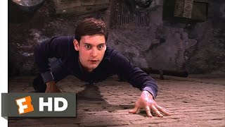 SpiderMan Movie 2002  Peters New Powers Scene 210  Movieclips [upl. by Notserk]