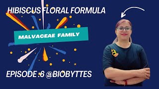 EPISODE 6 HOW TO WRITE HIBISCUS FLORAL FORMULA MALVACEAE FAMILY BIOBYTTES practical biology [upl. by Rosaleen493]