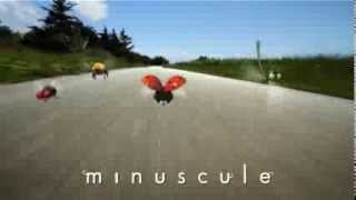 Minuscule  Spot TV [upl. by Nichol665]