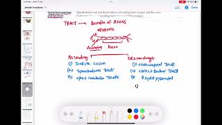 ascending and descending tract of spinal cord neurology 60  First Aid USMLE Step 1 in UrduHindi [upl. by Nelra]