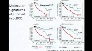 TCGA Clear Cell Renal Cell Carcinoma Project  Chad Creighton [upl. by Aillicsirp]