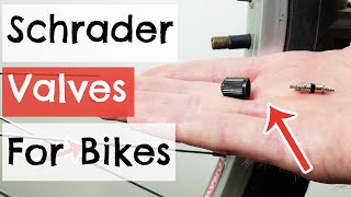 Schrader Valves for Bikes Explained [upl. by Yule]