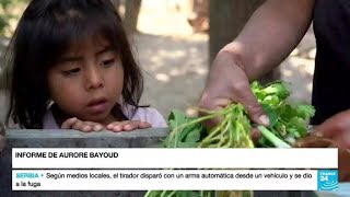 La desnutrición infantil trunca el futuro de la Guatemala rural [upl. by Neirod]