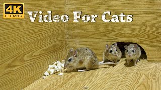 CAT TV  Mice Video For Cats To Watch amp Enjoy  Entertainment For Cats To Watch Mice  4K UHD [upl. by Amaleta]