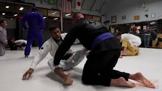 Pallaton Brazilian Jujitsu Academy Adult Classes [upl. by Adorl889]