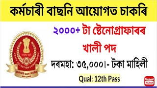 SSC Stenographer Recruitment 2024  Apply Online for 2000 Vacancy 12th Pass may Apply [upl. by Selrhc]