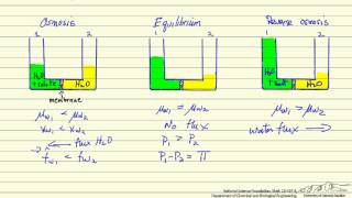 Reverse Osmosis [upl. by Nelie]