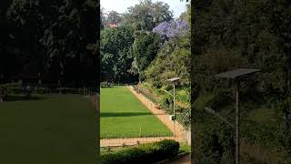 Sims Park CooNooR [upl. by Wills]