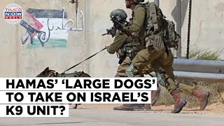 Hamas’ Large Dogs vs Israels K9 Unit 17 IDF Dogs Killed More Imports Coming [upl. by Eiuol]