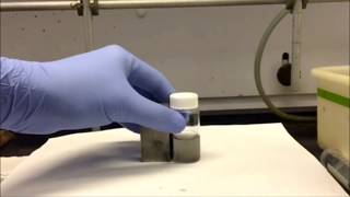 Magnetic Adsorbents for the Removal of Organic Dyes form Water [upl. by Haidadej772]